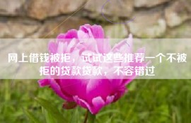 网上借钱被拒，试试这些推荐一个不被拒的贷款贷款，不容错过