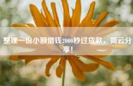 整理一份小额借钱2000秒过贷款，简云分享！