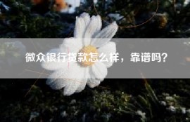 微众银行贷款怎么样，靠谱吗？