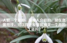 入职一个星期，家里人介绍的。现在急需用钱，可以找老板提前预支一个月的工资吗？