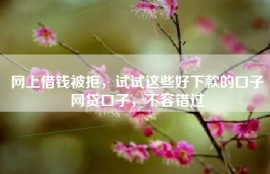 网上借钱被拒，试试这些好下款的口子网贷口子，不容错过