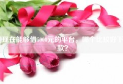 现在能够借5000元的平台，哪个比较好下款？