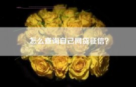 怎么查询自己网贷征信？