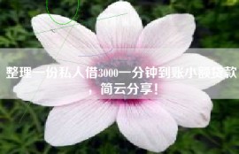 整理一份私人借3000一分钟到账小额贷款，简云分享！