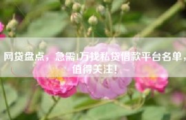 网贷盘点，急需1万找私贷借款平台名单，值得关注！
