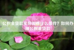 公积金贷款买房需要什么条件？如何办理公积金贷款