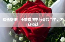 精选整理！小额借贷平台借款口子，不容错过