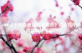 1000元小额快速借款有哪些？盘点几个小额贷款好下款的
