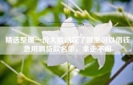 精选整理一份大数据花了哪里可以借钱急用啊贷款名单，拿走不谢