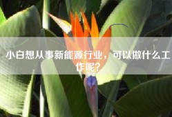 小白想从事新能源行业，可以做什么工作呢？