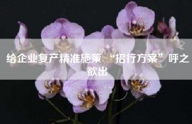 给企业复产精准施策 “招行方案”呼之欲出