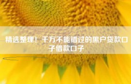 精选整理！千万不能错过的黑户贷款口子借款口子