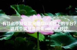 有什么小额贷款是借款14天包下的平台？这几个就是备用金1000人人秒过