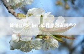 能借24期的借钱软件平台有哪些？