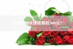 急用如何快速钱借款1000元？