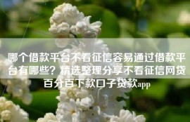 哪个借款平台不看征信容易通过借款平台有哪些？精选整理分享不看征信网贷百分百下款口子贷款app