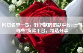 网贷名单一览，好下款的借款平台2022有哪些?贷款平台，精选分享