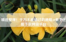 精选整理！千万不能错过的逾期40多个还能下款网贷平台