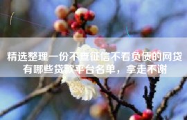 精选整理一份不查征信不看负债的网贷有哪些贷款平台名单，拿走不谢