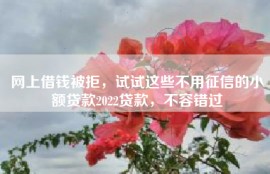 网上借钱被拒，试试这些不用征信的小额贷款2022贷款，不容错过