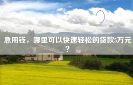 急用钱，哪里可以快速轻松的贷款5万元？
