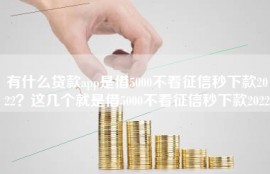 有什么贷款app是借5000不看征信秒下款2022？这几个就是借5000不看征信秒下款2022