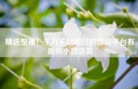 精选整理！千万不能错过的借款平台有哪些小额贷款