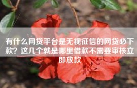 有什么网贷平台是无视征信的网贷必下款？这几个就是哪里借款不需要审核立即放款