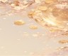 靠谱能下款的网贷2025年精选，梳理5个新口子必下款2025不查征信