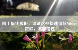 网上借钱被拒，试试这些快速借款5000元贷款，不容错过
