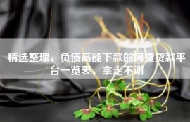 精选整理，负债高能下款的网贷贷款平台一览表，拿走不谢