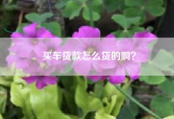 买车贷款怎么贷的啊？