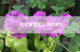 买车贷款怎么贷的啊？