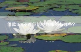 借款1000不看征信秒到账的有哪些？