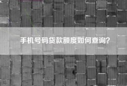 手机号码贷款额度如何查询？