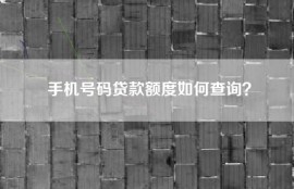 手机号码贷款额度如何查询？