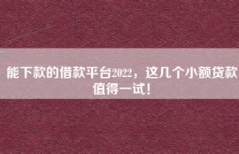 能下款的借款平台2022，这几个小额贷款值得一试！