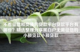 不看征信和负债的贷款平台贷款平台有哪些？精选整理分享黑白户无需征信的小额贷款小额贷款