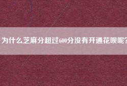 为什么芝麻分超过600分没有开通花呗呢？