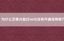 为什么芝麻分超过600分没有开通花呗呢？