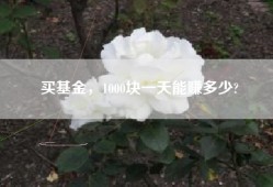 买基金，1000块一天能赚多少?