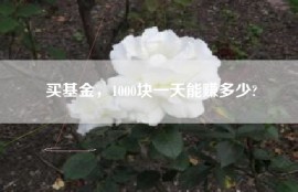 买基金，1000块一天能赚多少?
