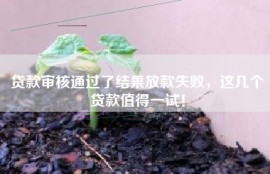贷款审核通过了结果放款失败，这几个贷款值得一试！