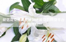 征信花负债高无逾期还能贷的网贷平台有哪些?