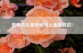 借呗怎么显示是马上金融放款?