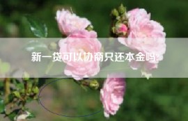 新一贷可以协商只还本金吗?