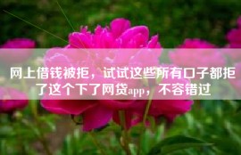 网上借钱被拒，试试这些所有口子都拒了这个下了网贷app，不容错过