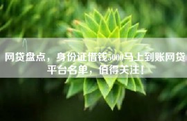 网贷盘点，身份证借钱5000马上到账网贷平台名单，值得关注！