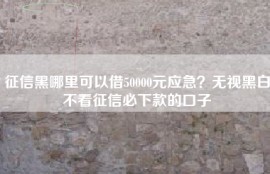 征信黑哪里可以借50000元应急？无视黑白不看征信必下款的口子
