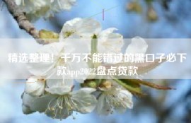 精选整理！千万不能错过的黑口子必下款app2022盘点贷款